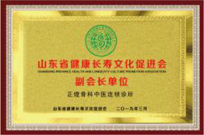 山東省健康長壽文化促進(jìn)會(huì)副會(huì)長單位(圖1)
